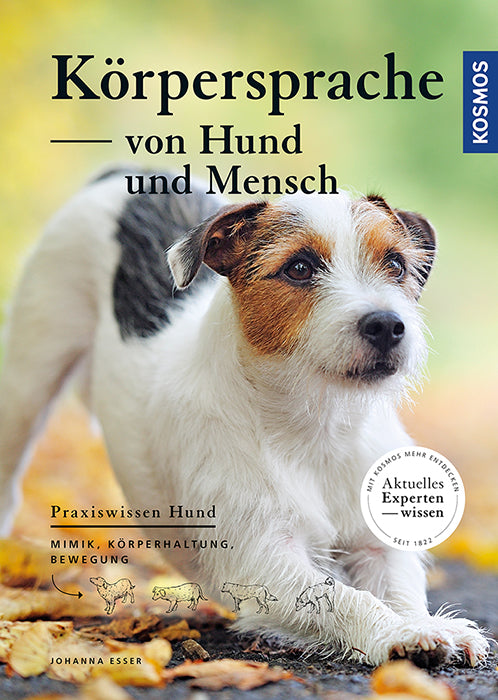 Body language of dog and human