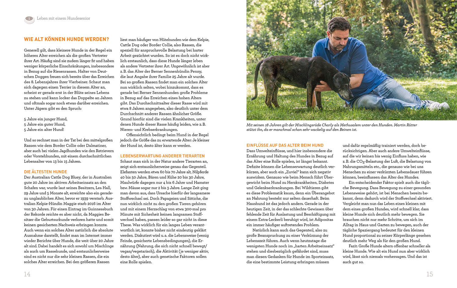 Hundesenioren mit Martin Rütter