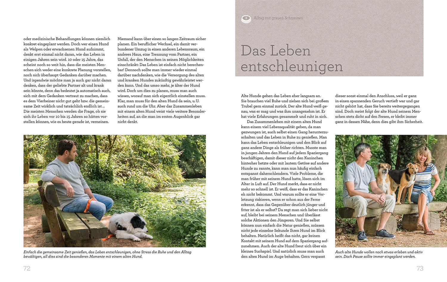 Hundesenioren mit Martin Rütter