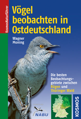 Vögel beobachten in Ostdeutschland