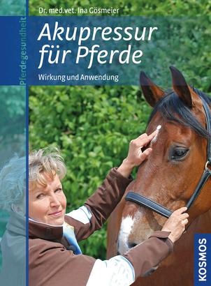 Acupressure for Horses