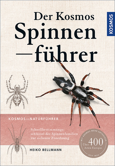 The Kosmos Spider Guide