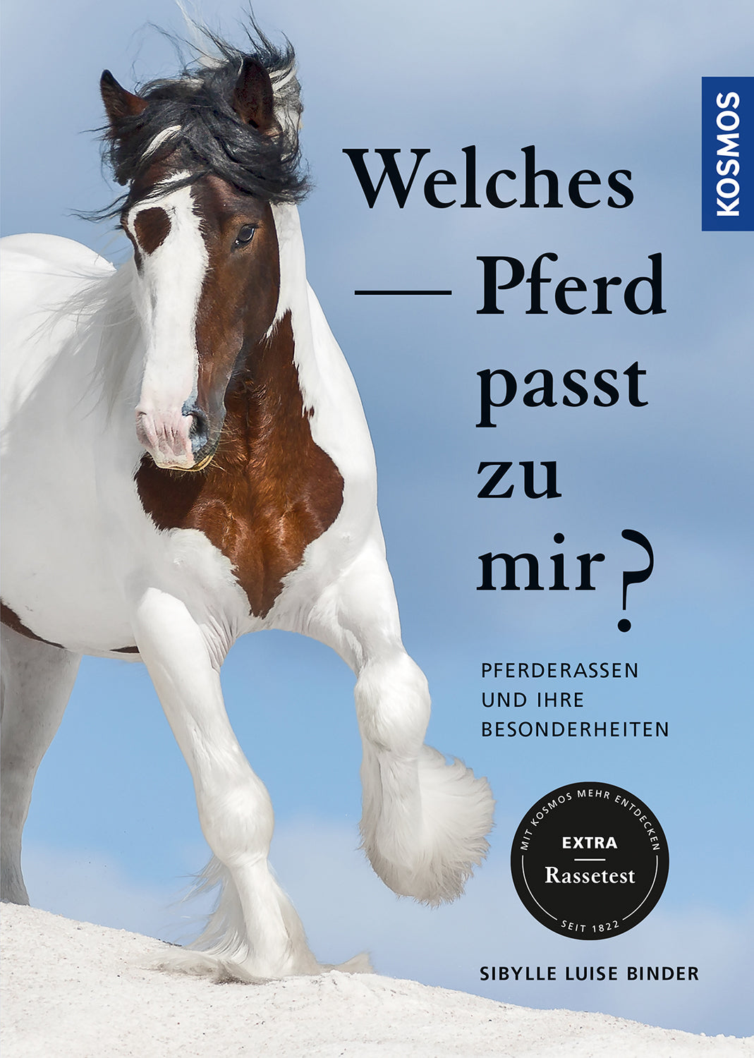 Welches Pferd passt zu mir