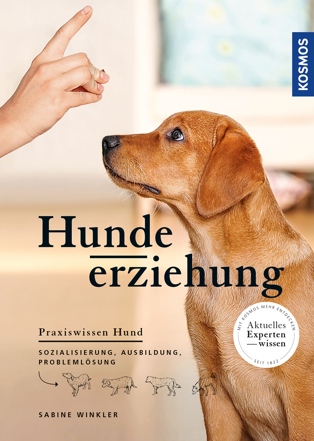 Dog training