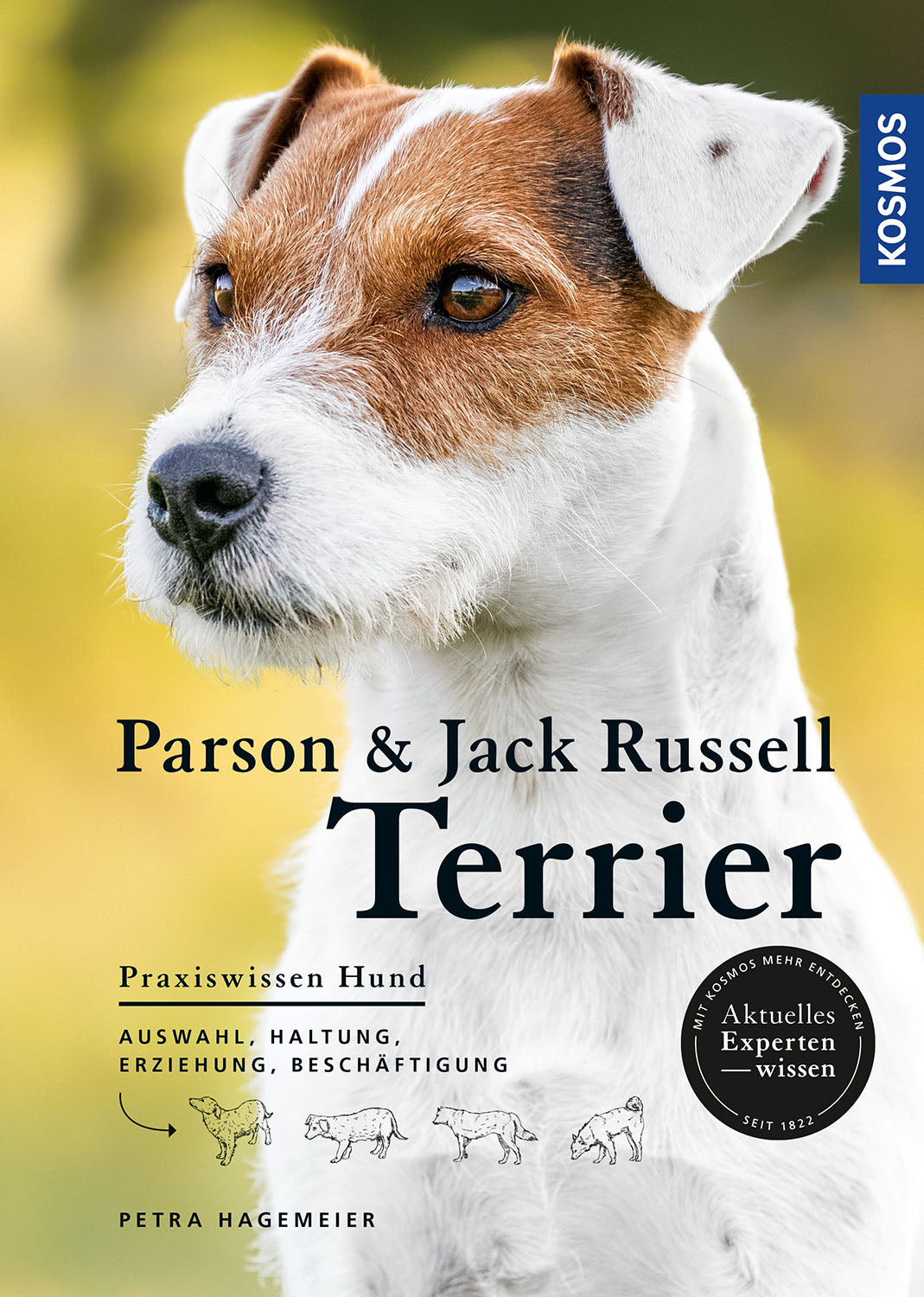 Parson and Jack Russell Terriers