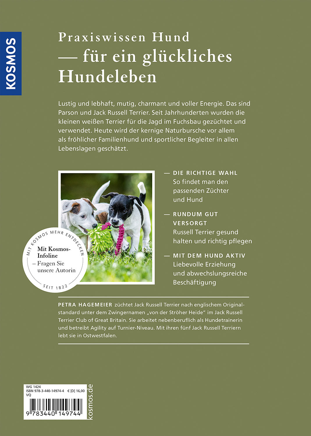 Parson and Jack Russell Terriers