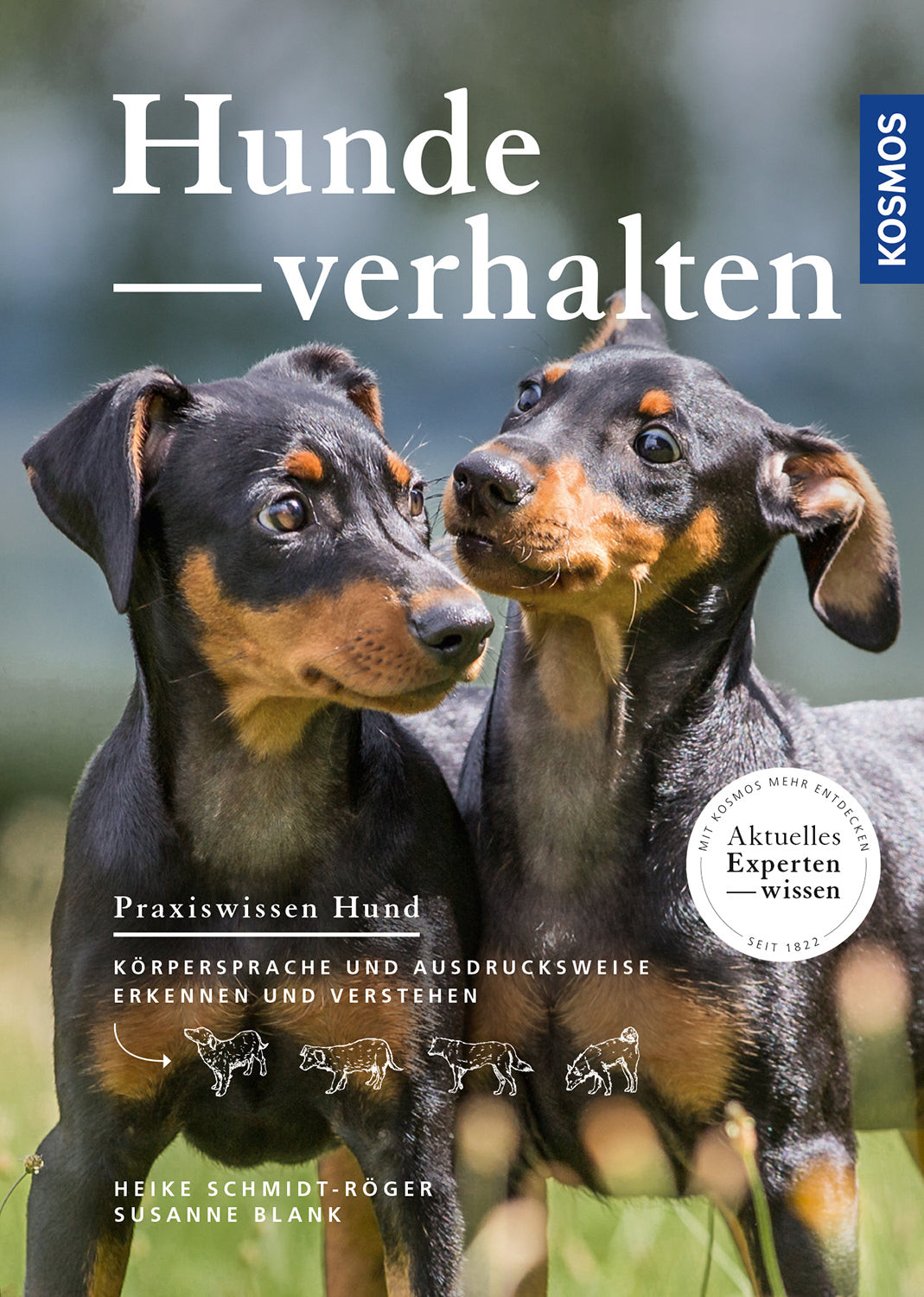Dog behavior