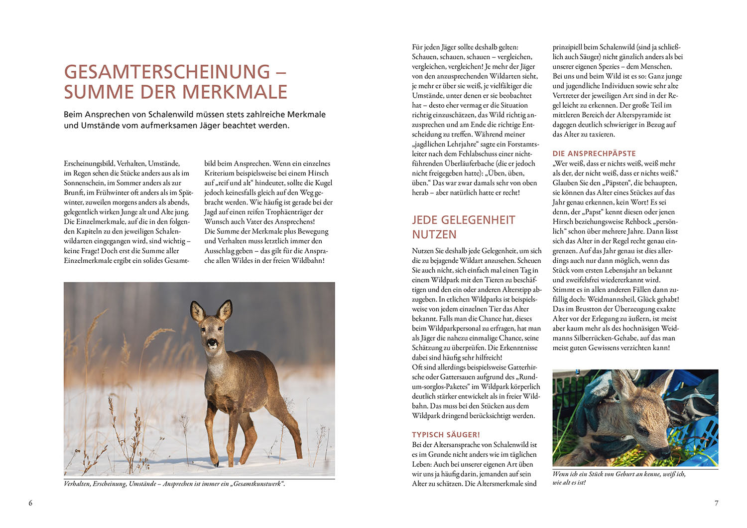 Die Altersansprache des Schalenwilds