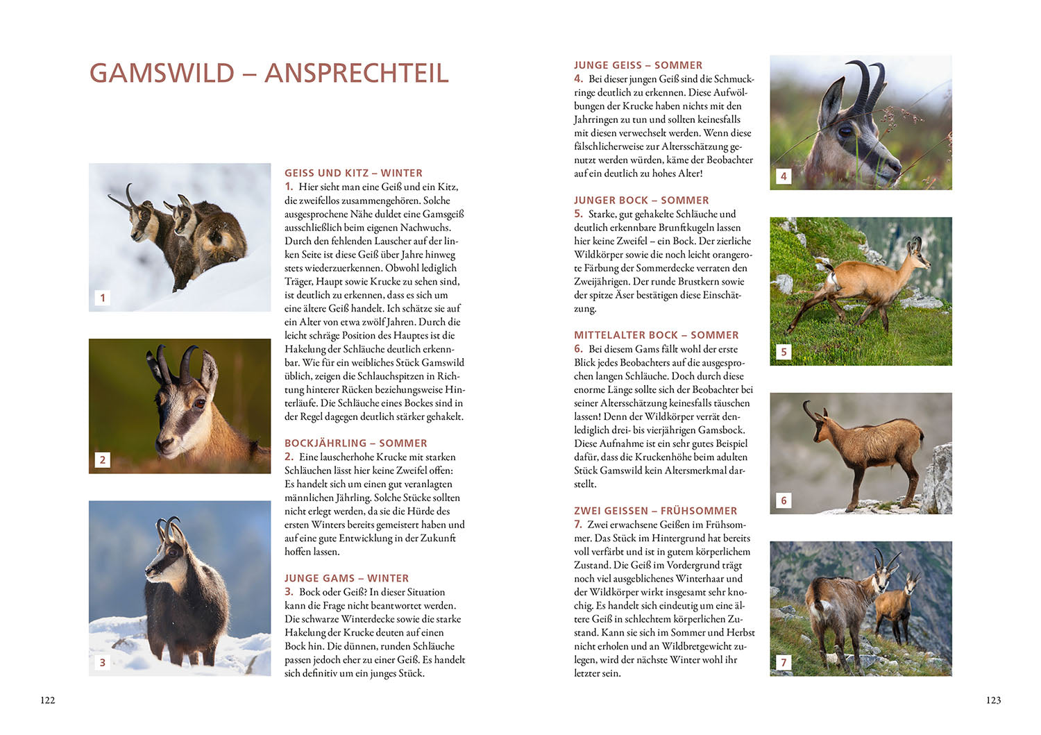 Die Altersansprache des Schalenwilds