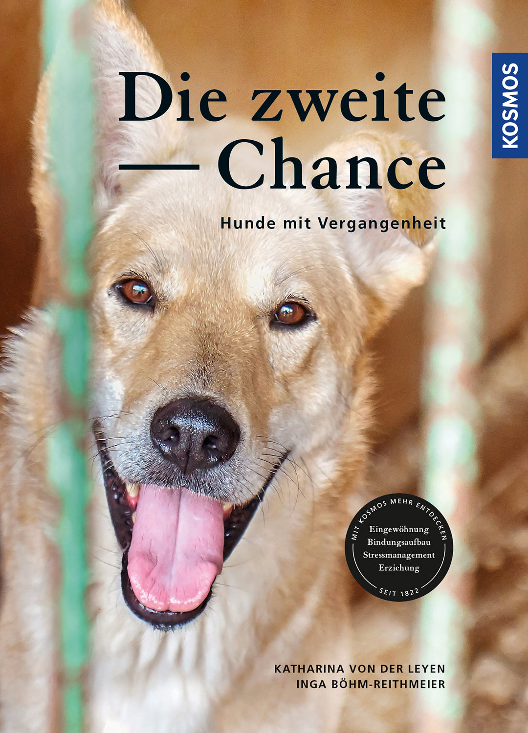 The Second Chance