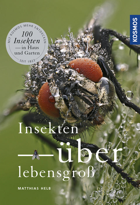 Insects Larger Than Life