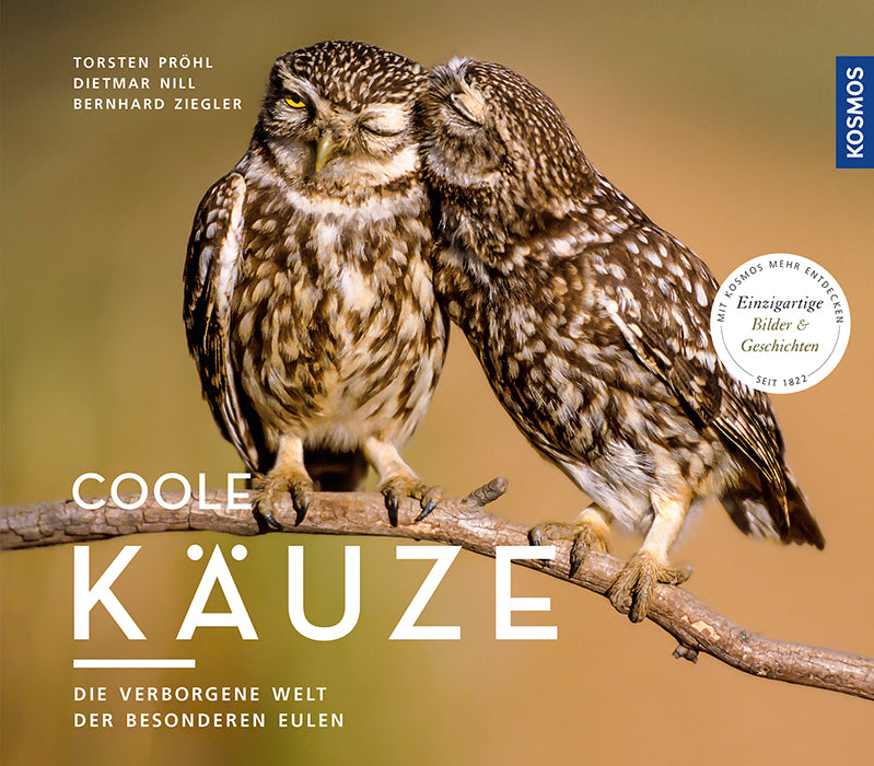 Cool Owls