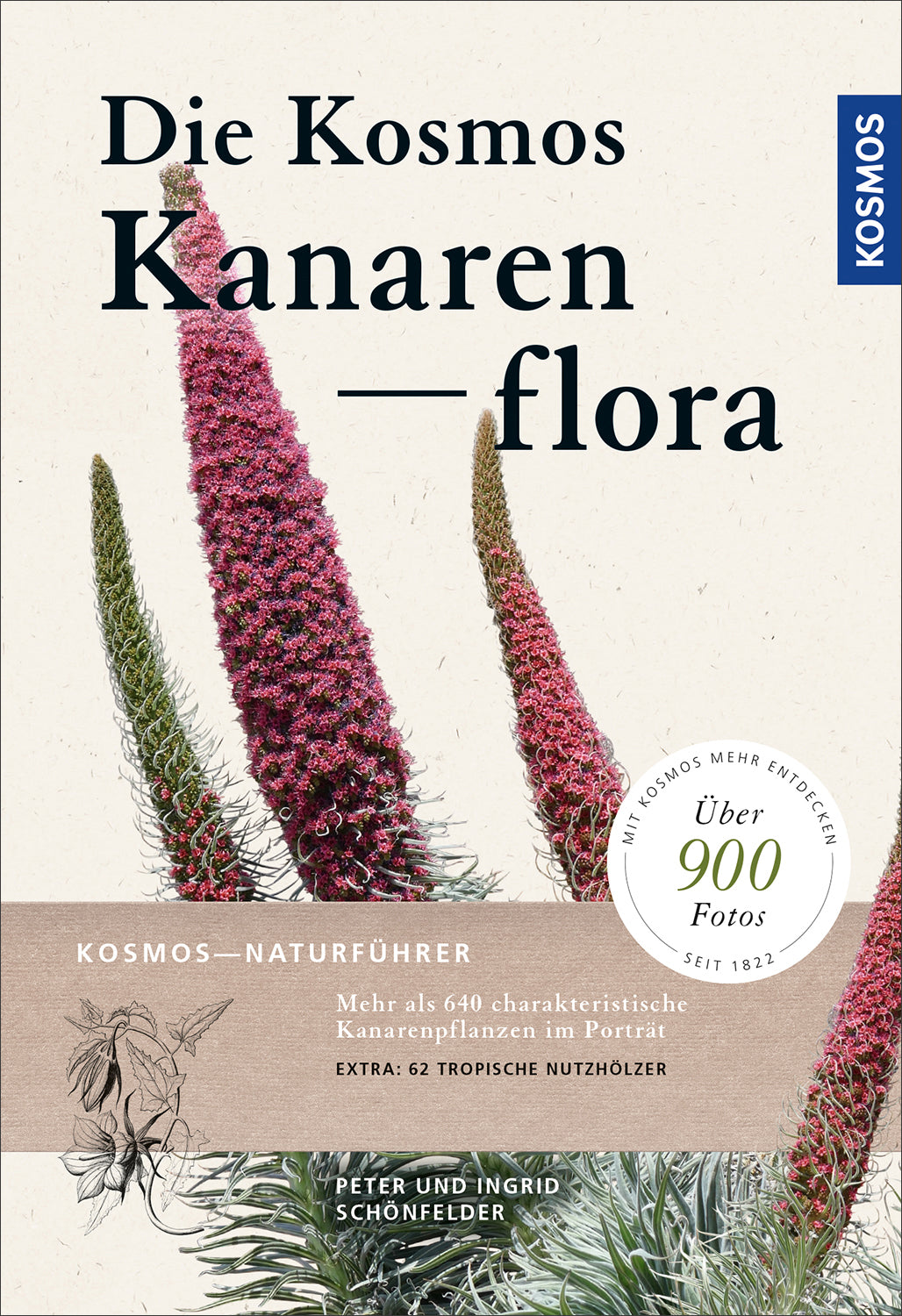 Die Kosmos-Kanarenflora