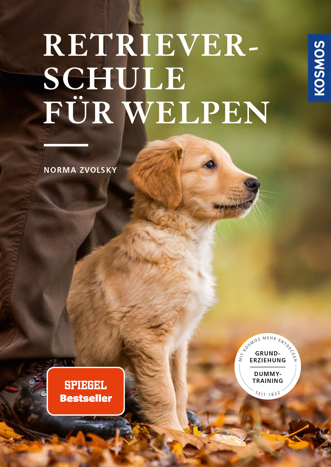 Retriever school for puppies