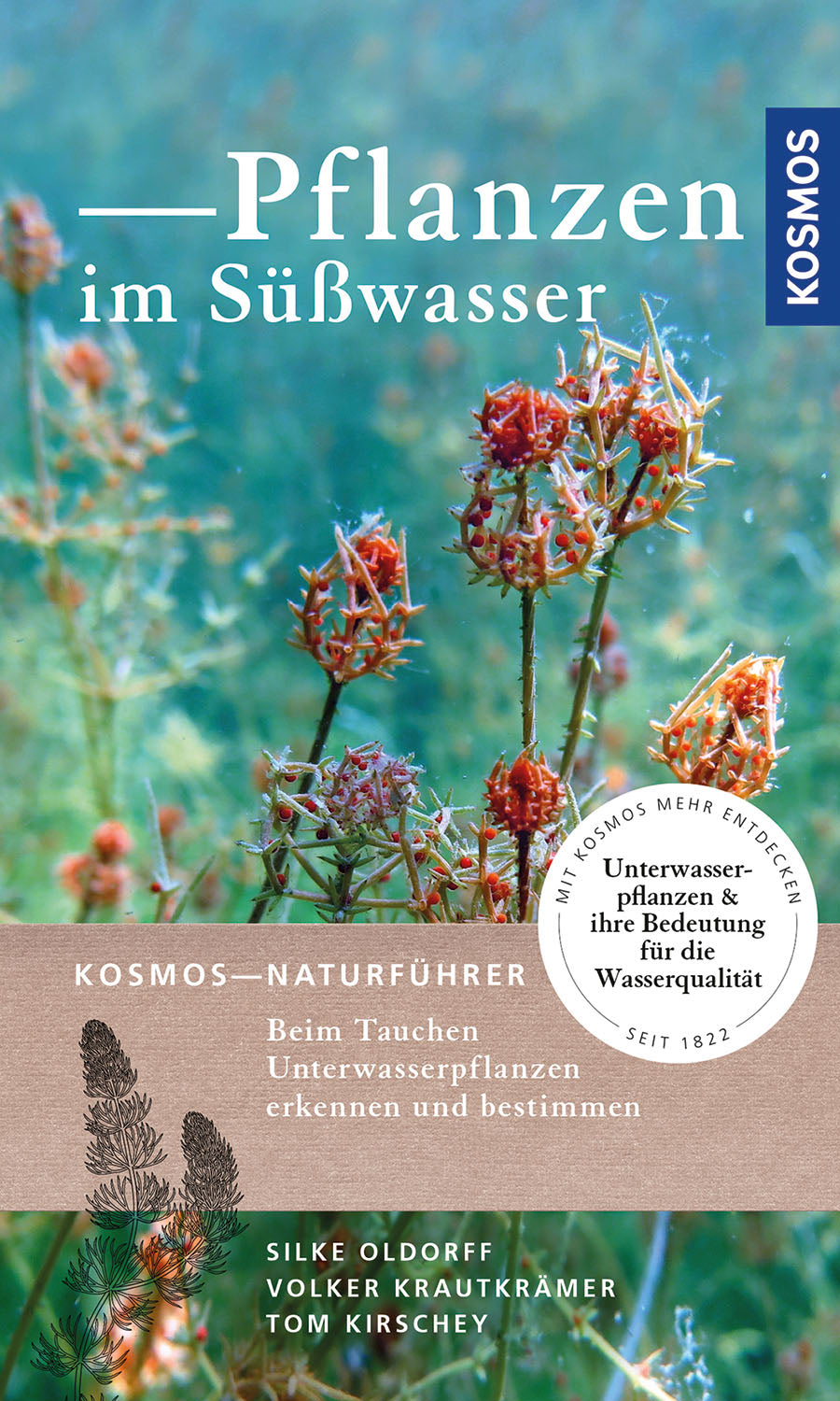 Pflanzen im Süßwasser/EB