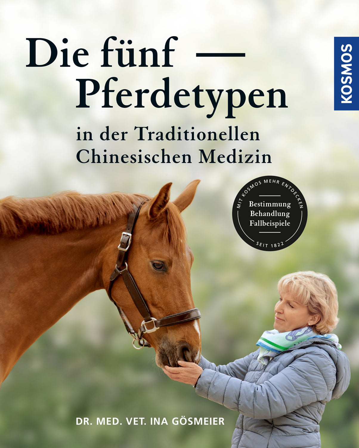 The Five Horse Types of Traditional Chinese Medicine