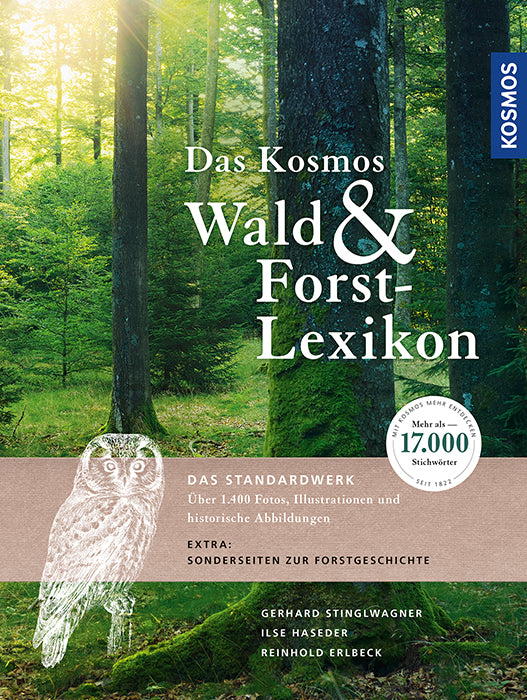 The Kosmos Forest Lexicon