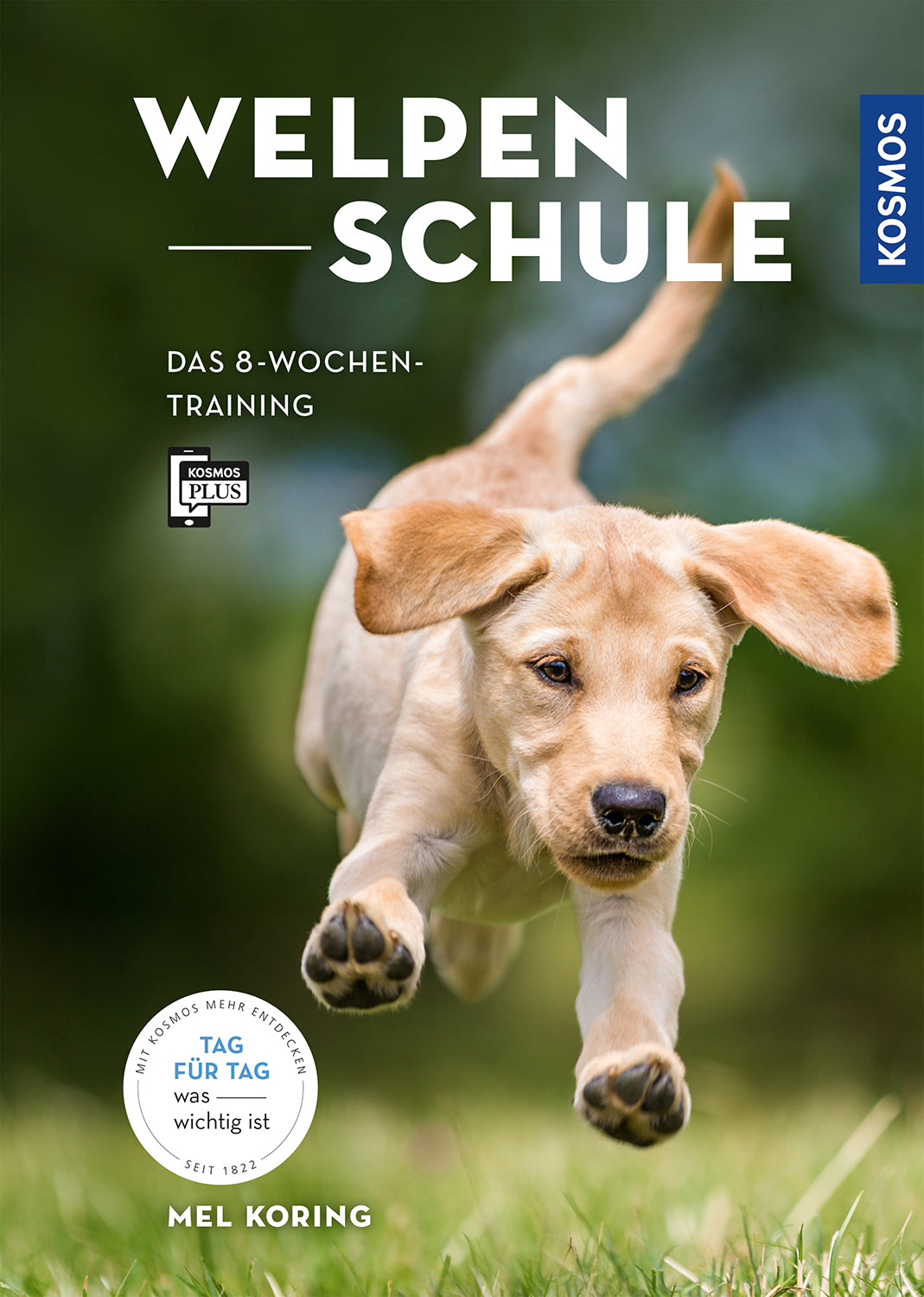 Puppy school