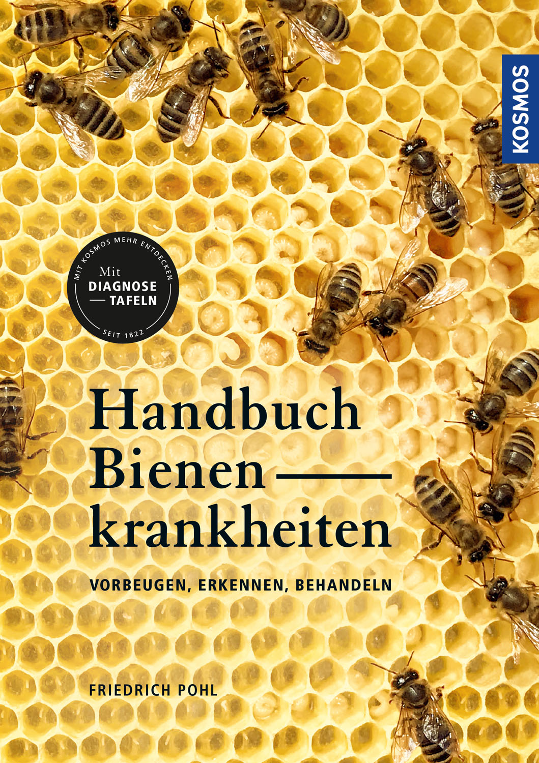 Beekeeping Handbook: Bee Diseases