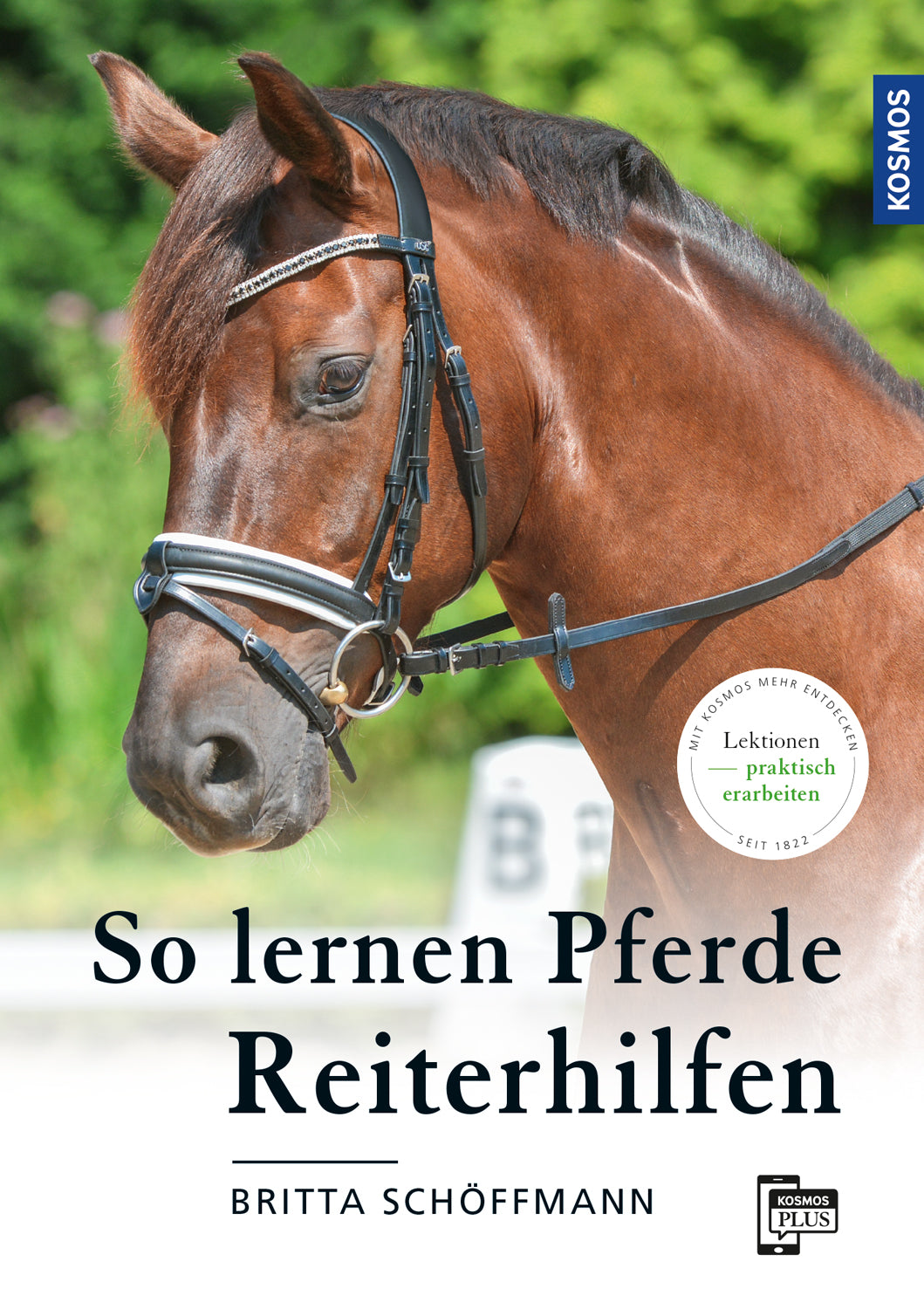 How horses learn rider aids