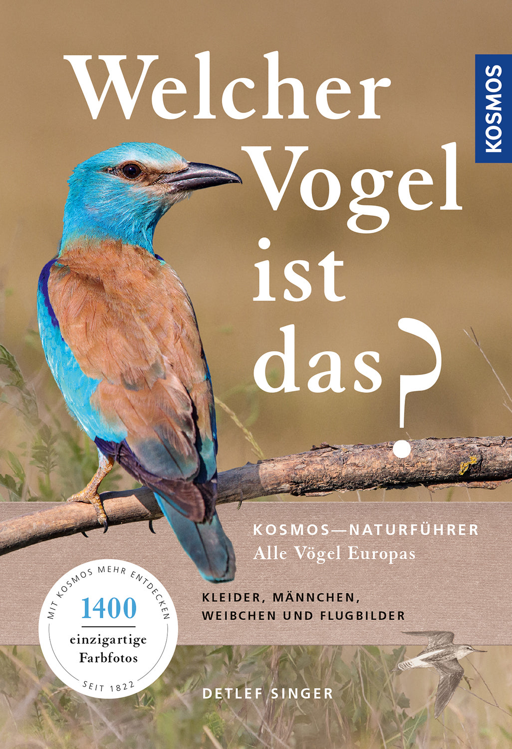 What bird is that?
