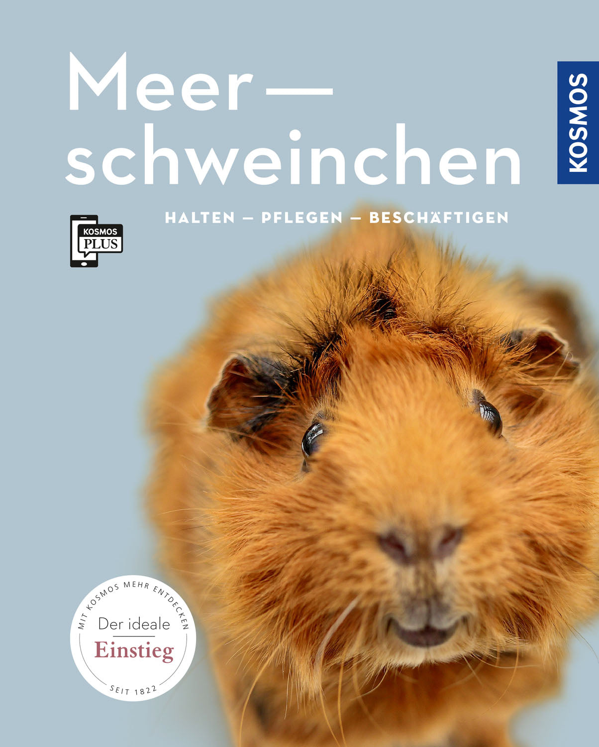 Guinea pig