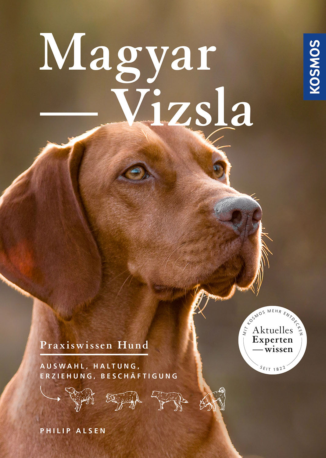 Hungarian Vizsla