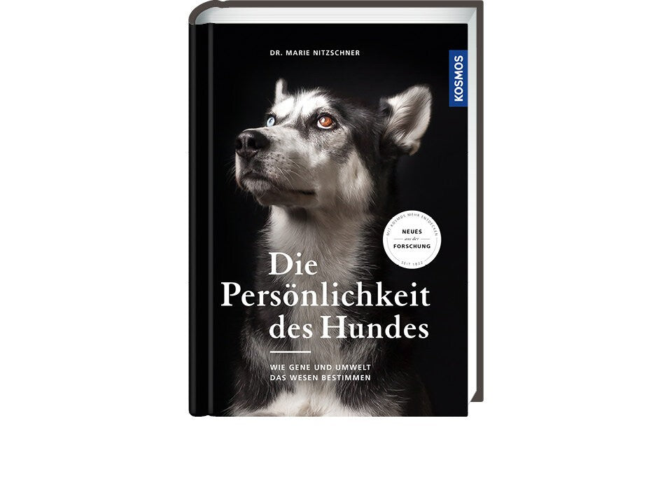 Jeder Hund ist einzigartig