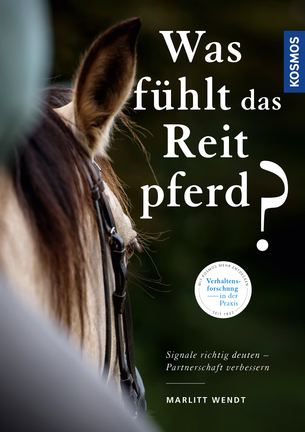 What does the riding horse feel?