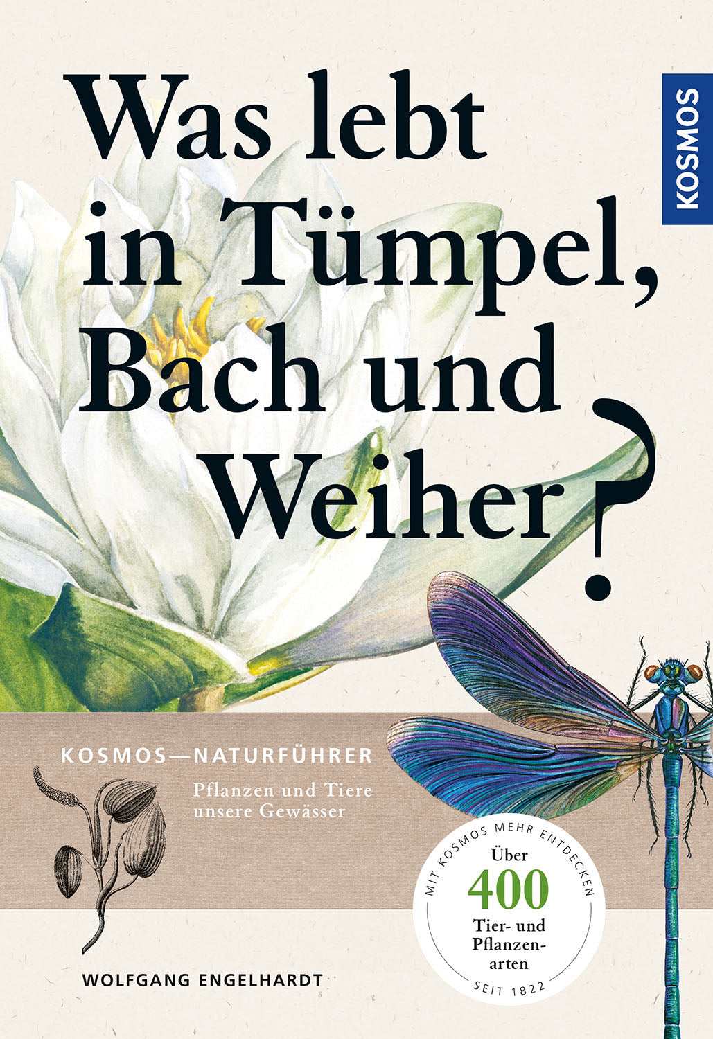 Was lebt in Tümpel, Bach und Weiher