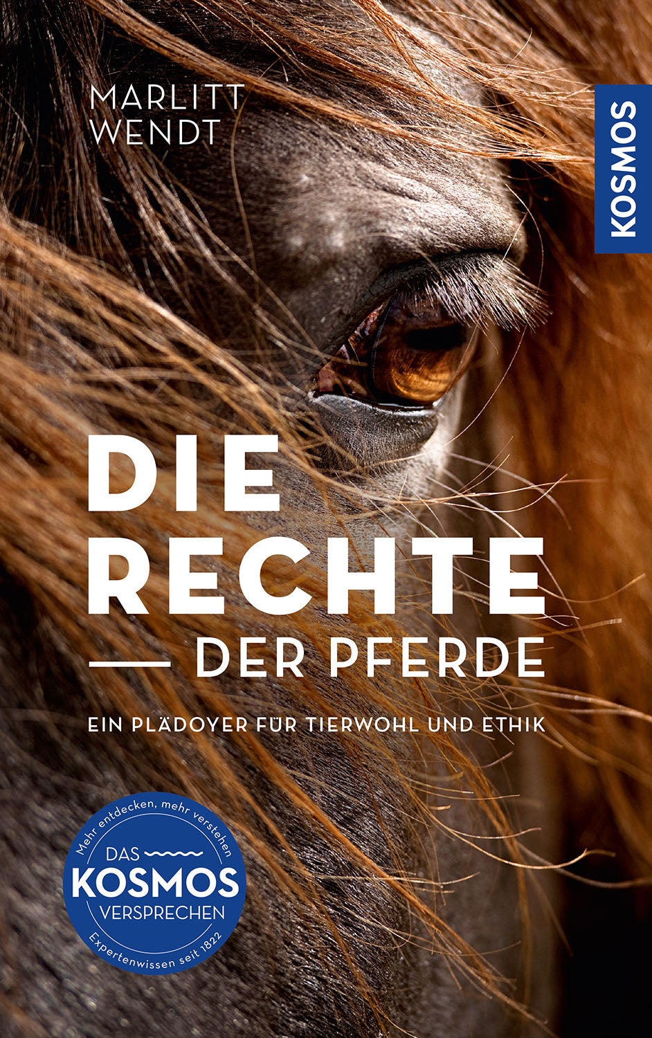The Rights of Horses