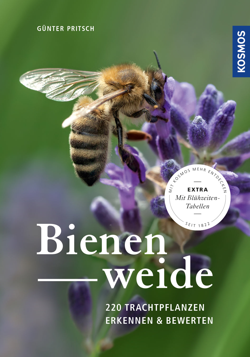 Bienenweide