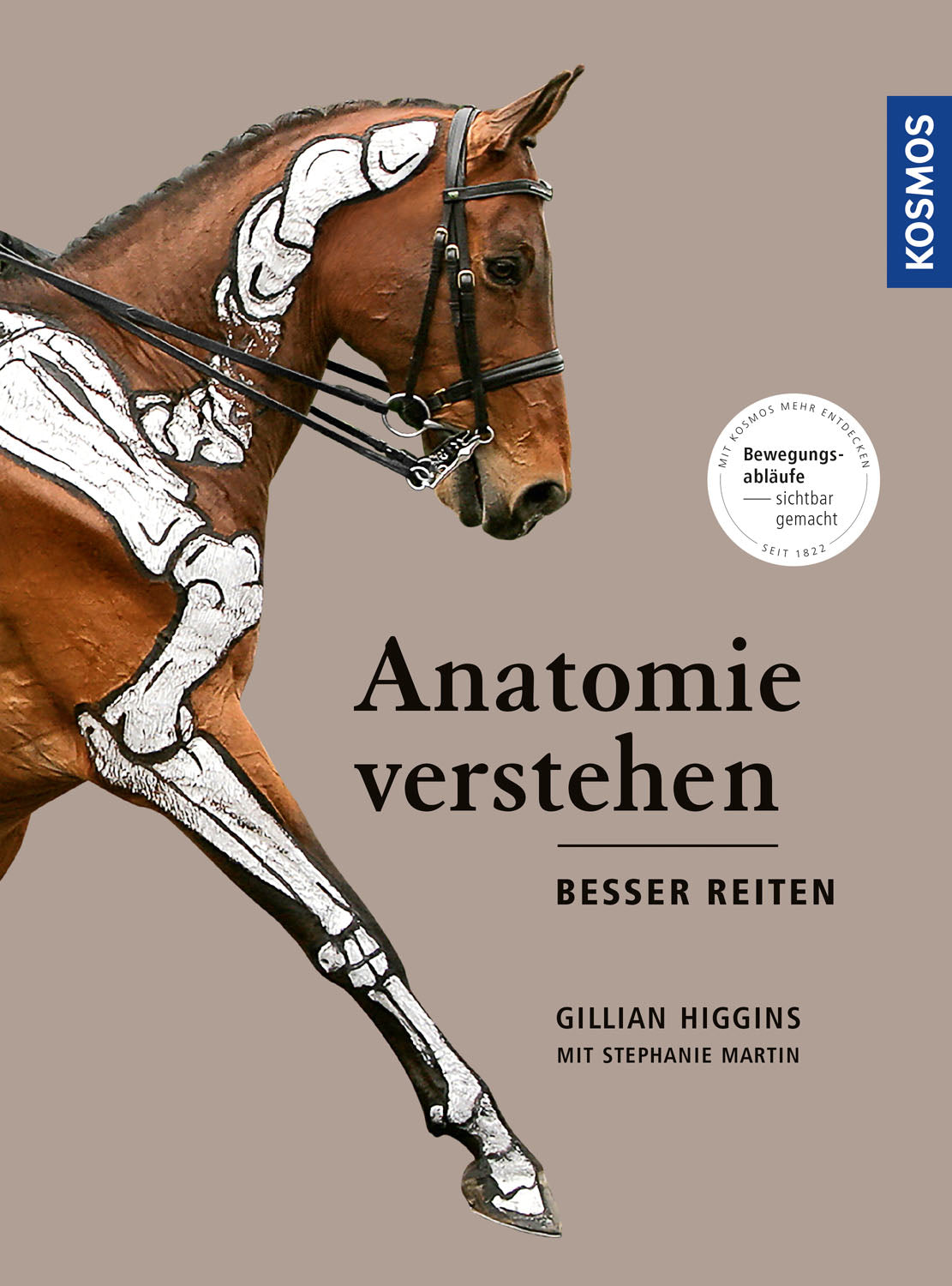 Understand anatomy - ride better