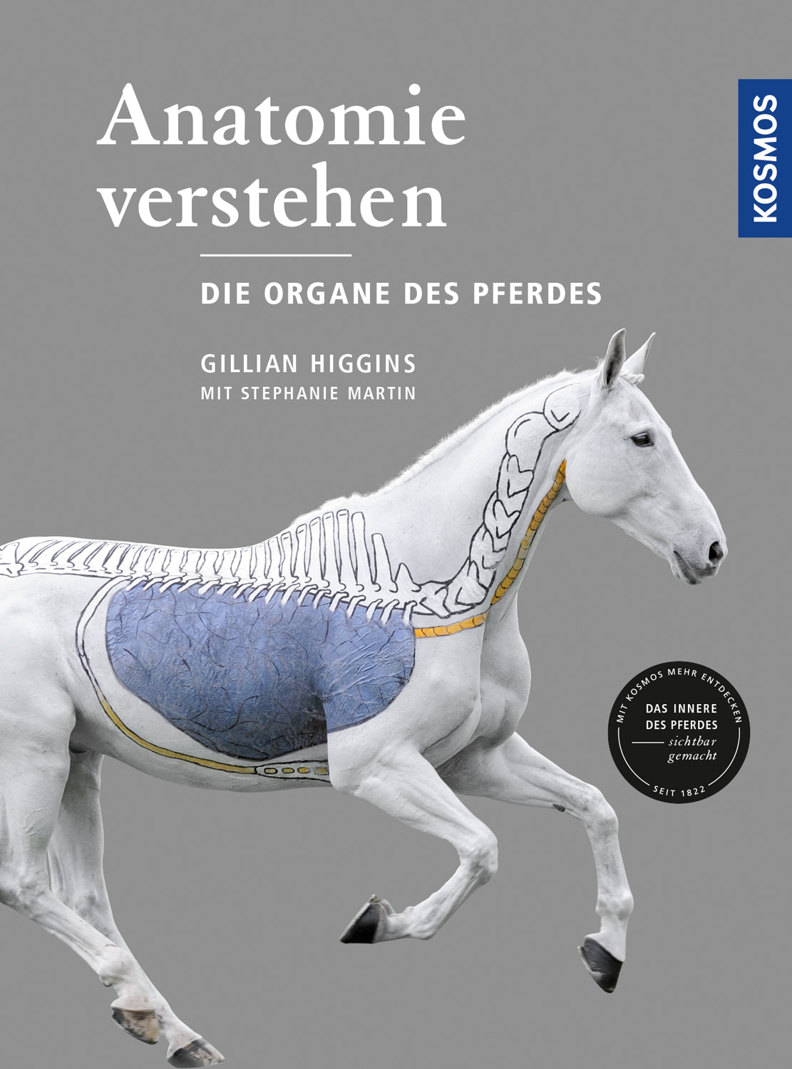 Understanding Anatomy - The Organs of the Horse