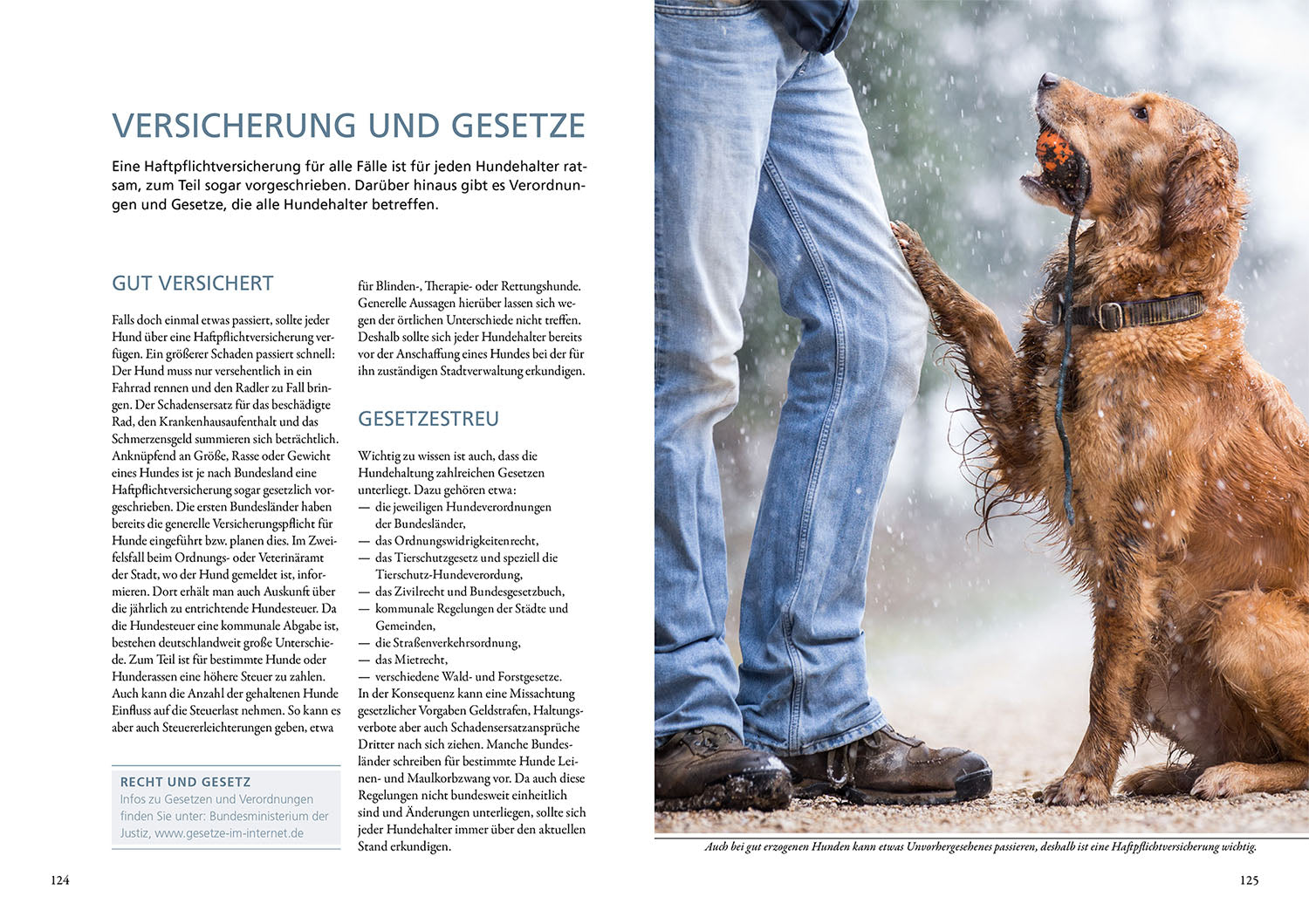 Hundeführerschein und Sachkundenachweis