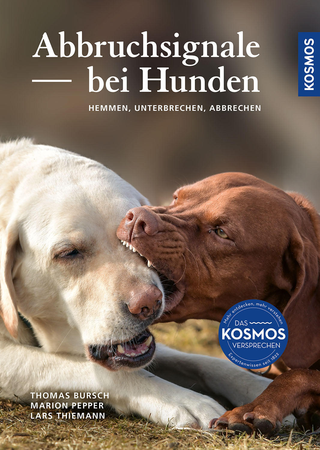 Appeasement Signals in Dogs