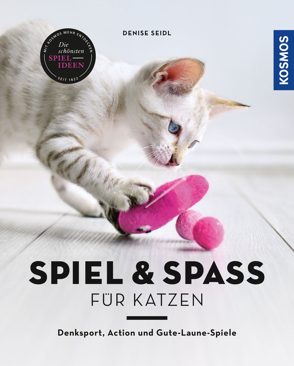 Fun & Games for Cats
