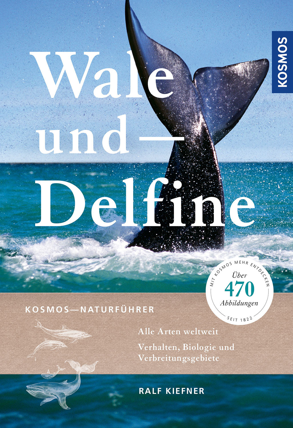 Whales and Dolphins
