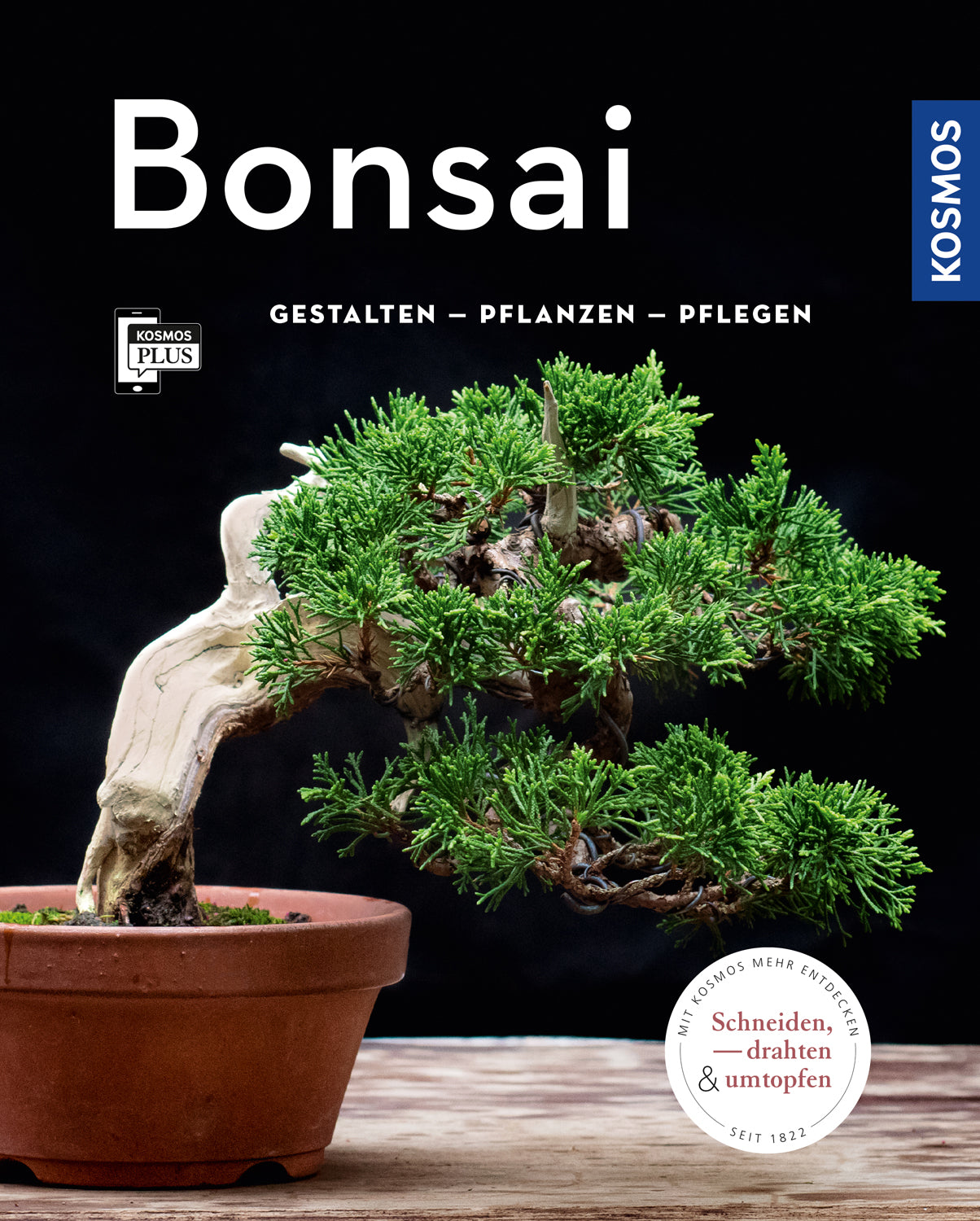 Bonsai (My Garden)