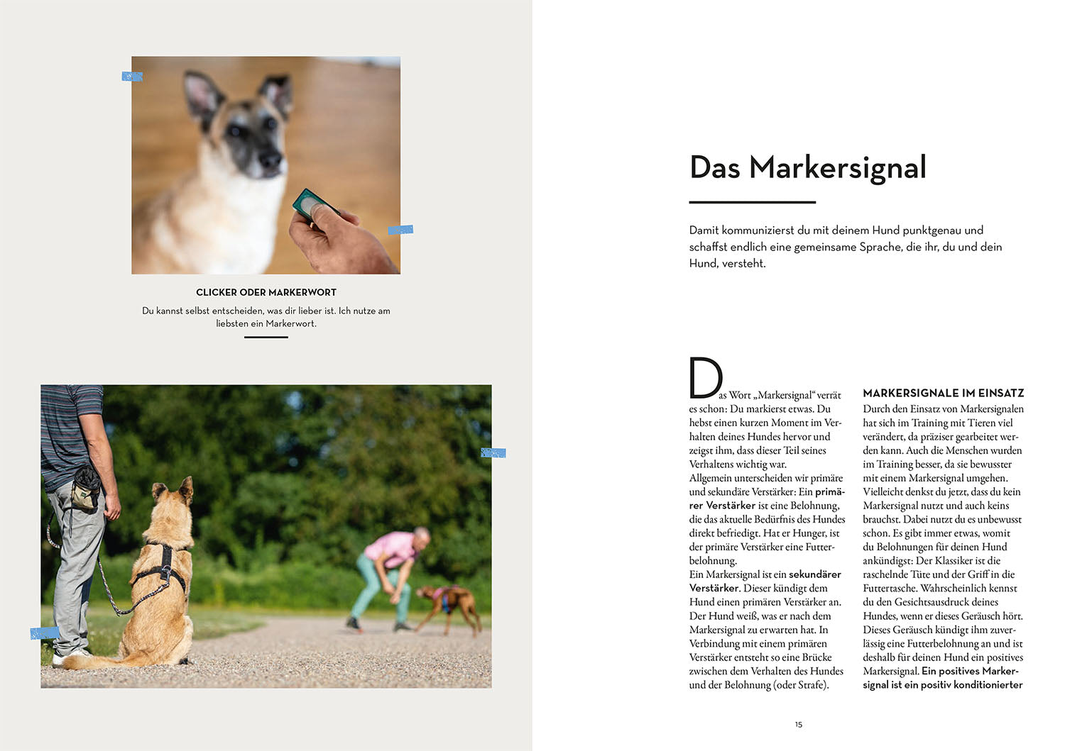 Marker Training for Dogs