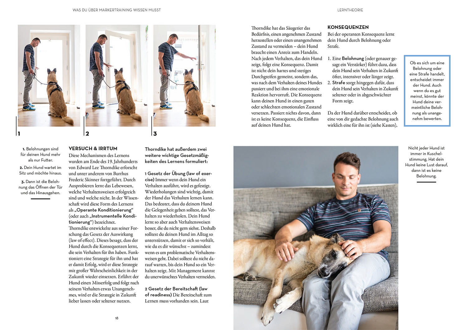 Marker Training for Dogs