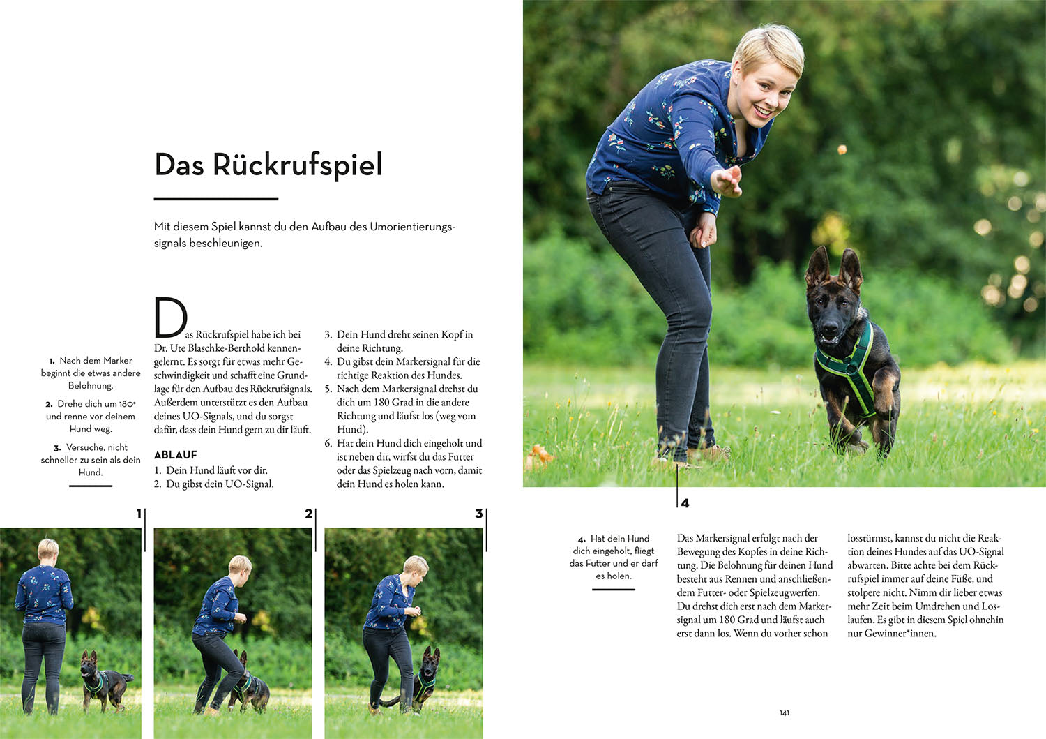 Marker Training for Dogs