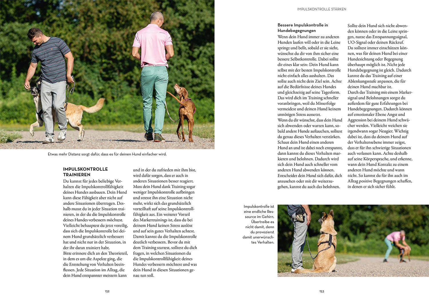 Marker Training for Dogs