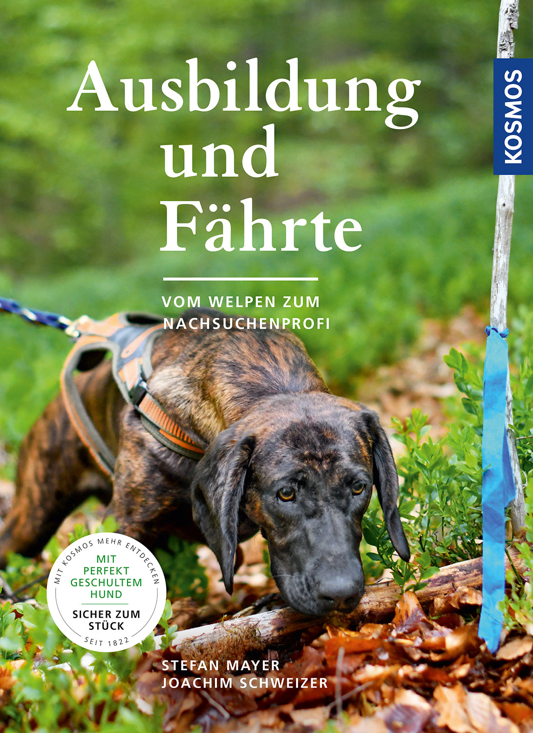 Training and Tracking