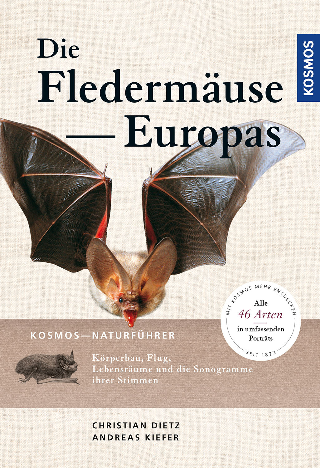 Natural Guide to the Bats of Europe