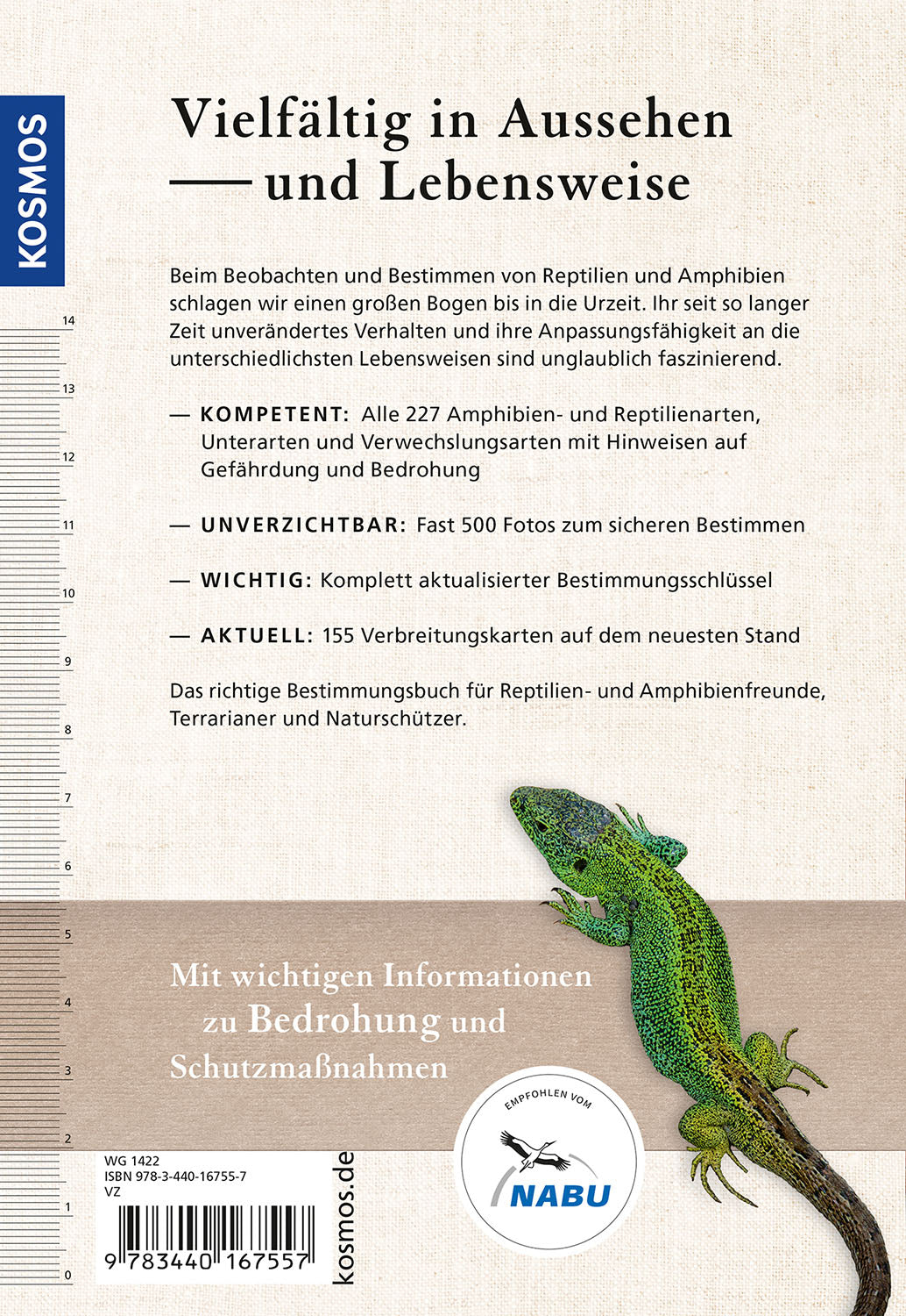 Reptiles and Amphibians of Europe