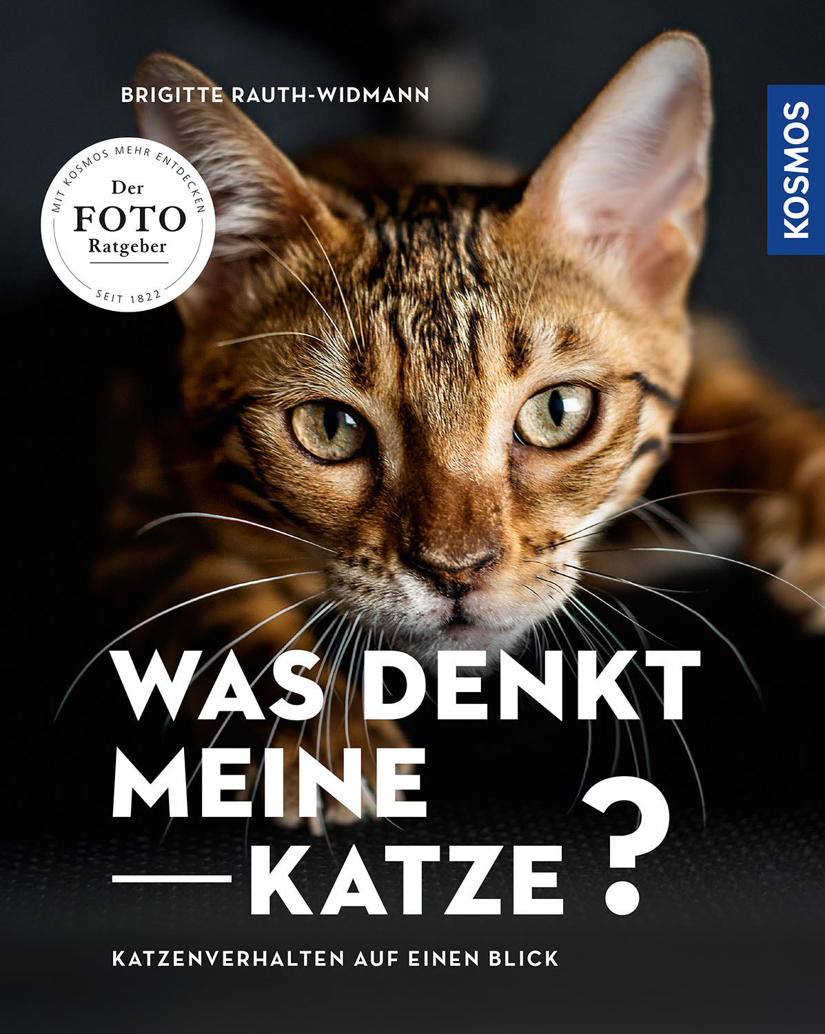 What is my cat thinking?