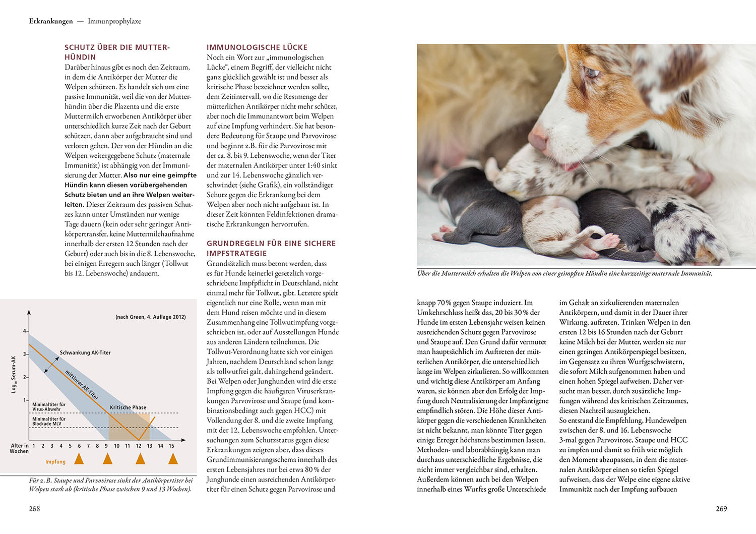 Dog breeding