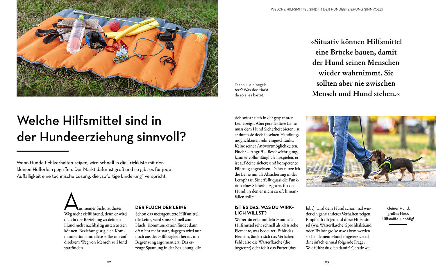 Hunde erziehen – mit der 5er-Basis