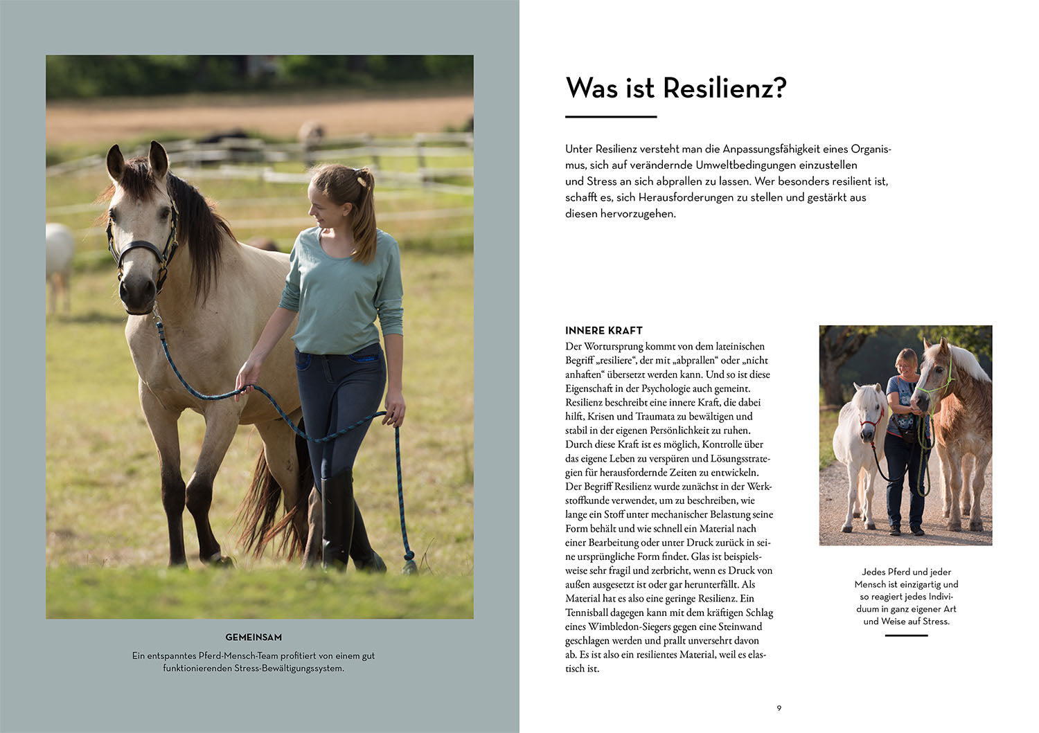 Resilience in Horses